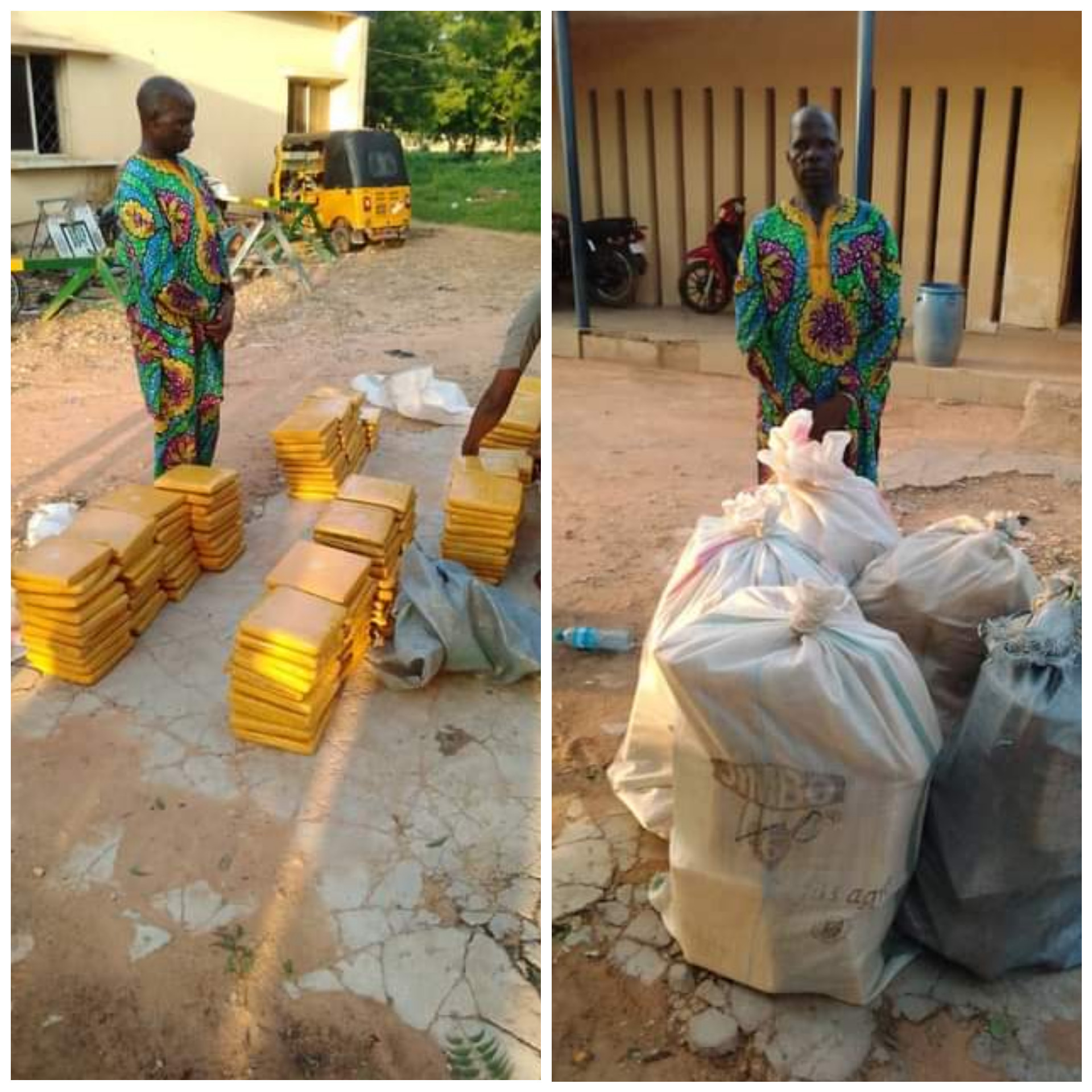 In Katsina, police detain a prominent hemp dealer from India.